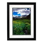 framed and matted photo prints